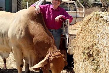 Best Hart Newhaven Biggest Morning Tea Best Hart Newhaven Biggest Morning Tea
