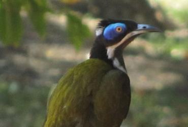 Territory Manor Motel and Caravan Park