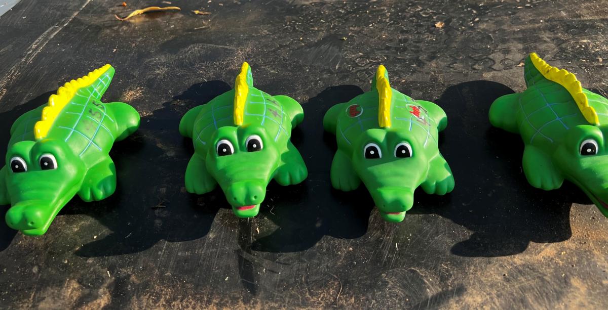 Kintore Street School Croc Race